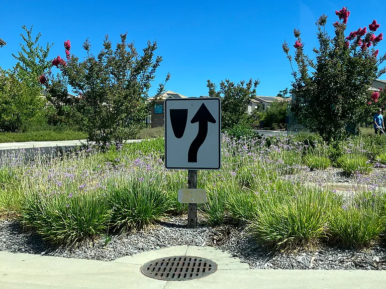 Gated area as part of the Serrano Community.