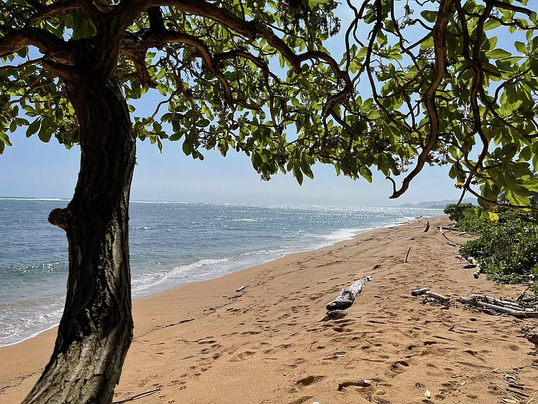 Beach across the street