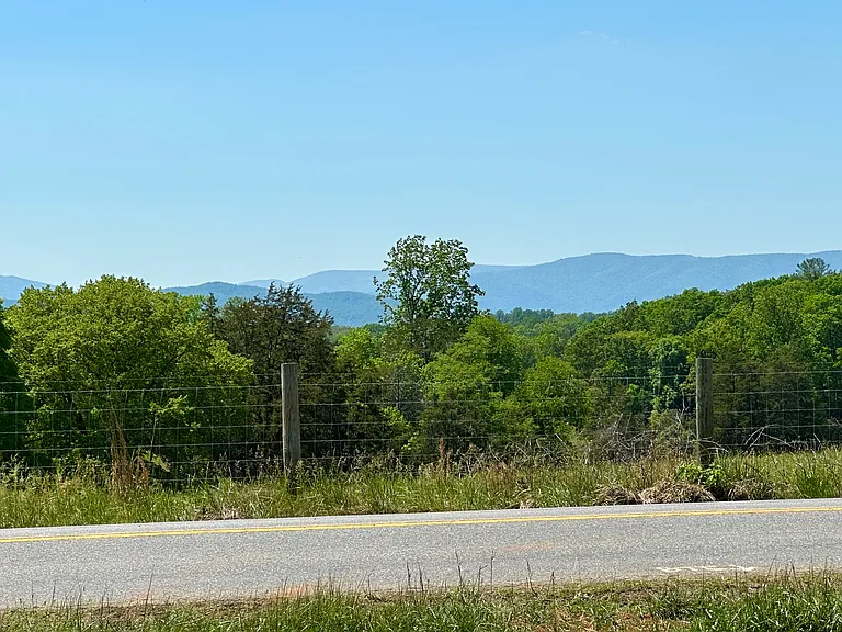 242 Buck Mountain Rd — Photo 8