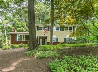 41 Old Mill Dr, Denville, NJ