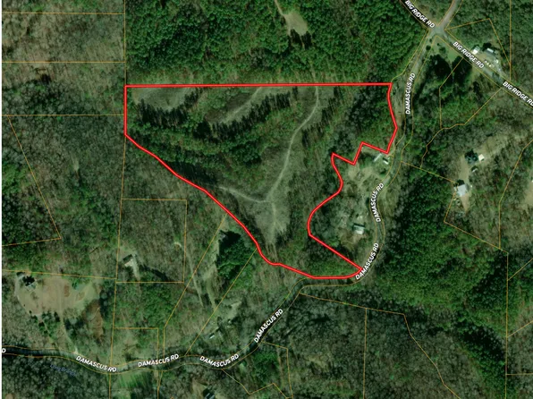 Damascus Rd, Ranger, GA 30734