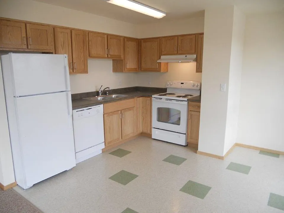 Electric Stove and Range