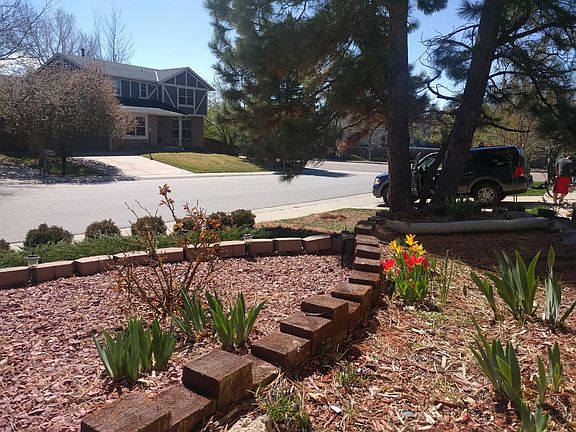 Front yard/flower garden