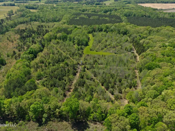 County Road 75, New Albany, MS 38652