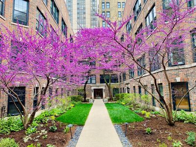 2315 N Commonwealth Ave APT 2N, Chicago, IL, 60614