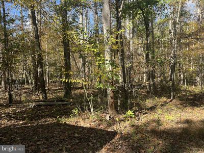 LOT 3B Mack Rd, Augusta, WV, 26704