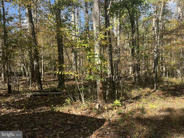 LOT 3B Mack Rd, Augusta, WV 26704