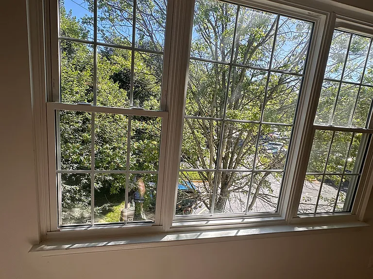 Living Room Windows