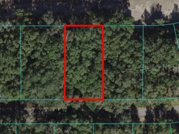 Fisher Lane Dr Lot 22, Ocklawaha, FL 32179