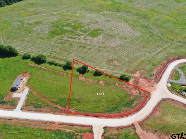 16604 Caeli Heights Ct Lot 1, Winona, TX 75792