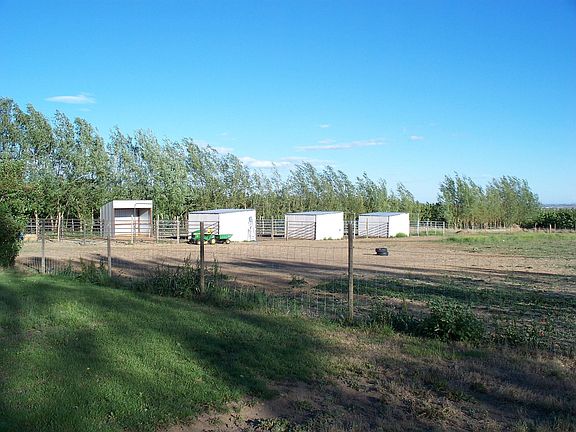 Fenced Horse area