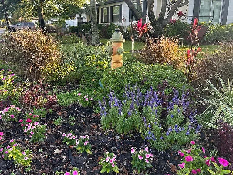 Beautiful yard designed and planted by owner