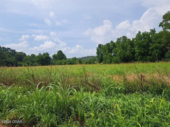 0 Reindeer Dr, Granby, MO 64844
