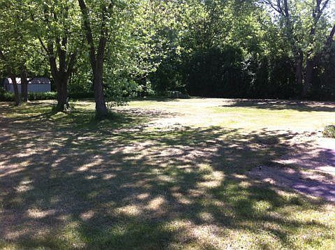 back yard