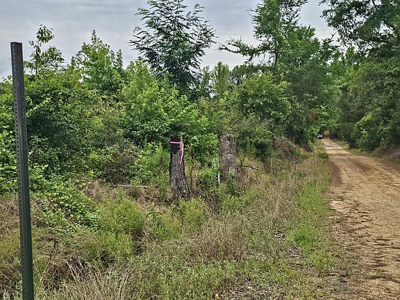 Looking south on Hamby Road. The property is to the left.  Pink flagging is approximate.