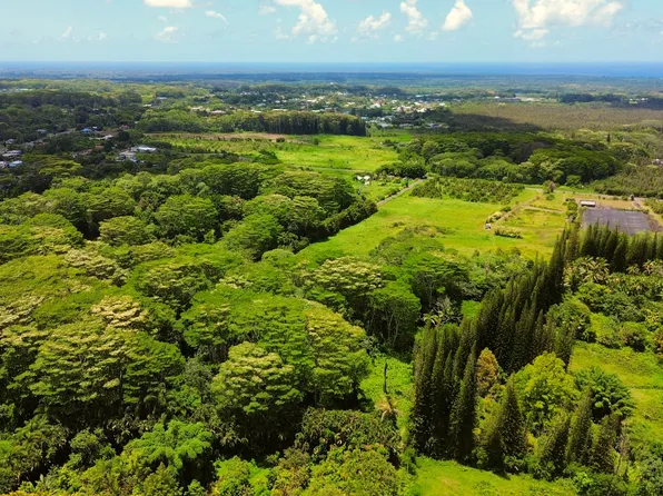 LOT 11 Lot 11, Kurtistown, HI 96760