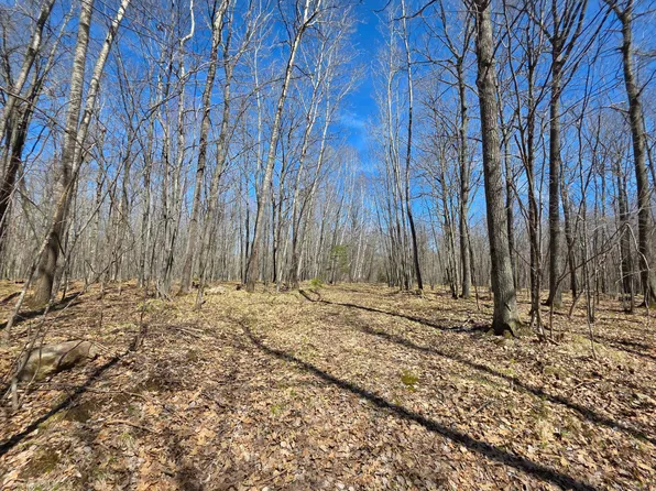 LOT 31 Mistwood Dr, Tomahawk, WI 54487