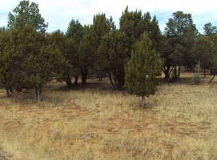 2748 Kitty Hawk Ln, Overgaard, AZ 85933