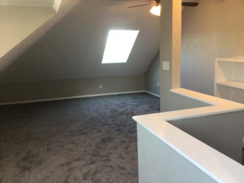 1503 Carr street — Photo 4