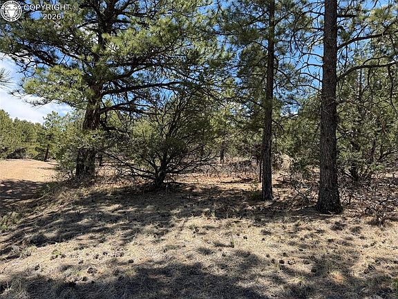 3rd image of 477 Bear Peak Rd