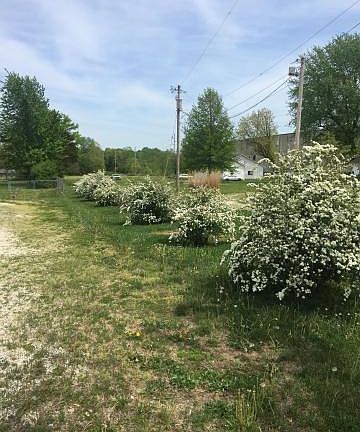 3rd image of 1409 S Country Club Dr
