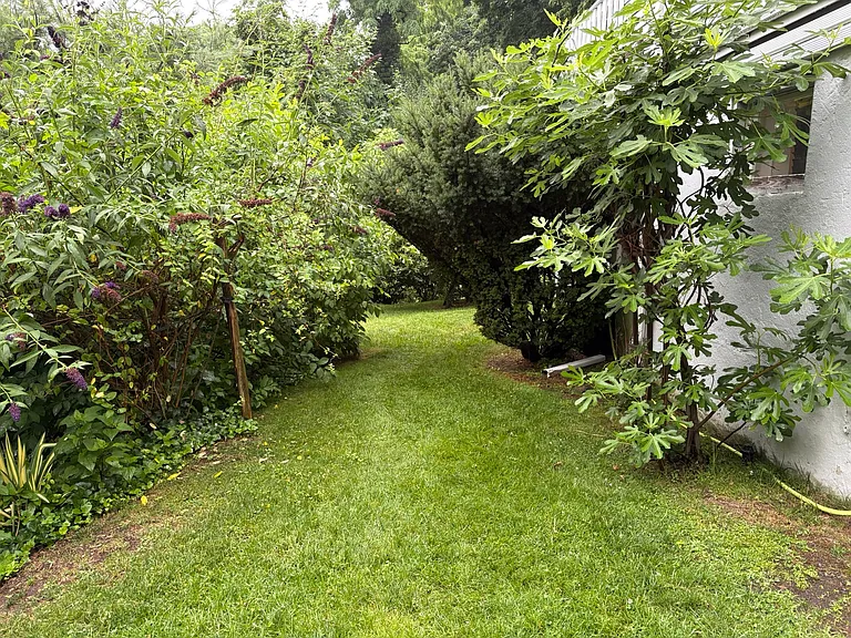 Flower Ave — Photo 27