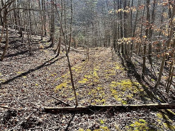 2nd image of 34 Road