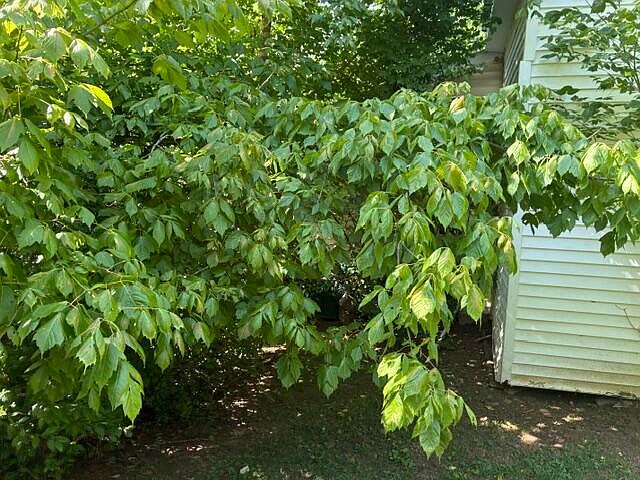 2nd image of 399 Campground Rd