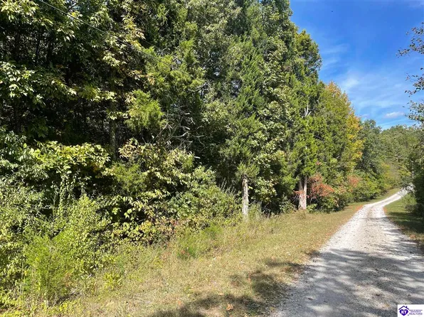 10 Rosetta Drive Ln, Irvington, KY 40146