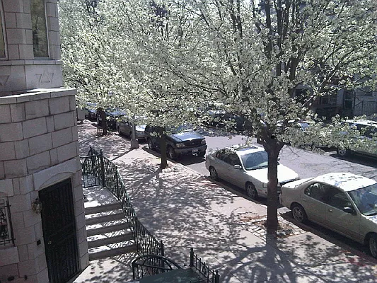 Rented by M. Nelson Realty LLC | media 30