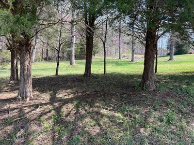 2 Three 4 Long Hollow Acres, Burkesville, KY, 42717