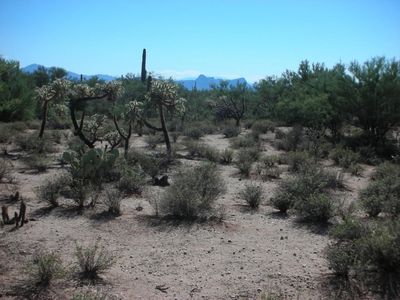 13142 N Lost Wells Trl, Newport, AZ, 85742