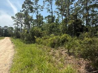 LOT 4 5th St NW, Steinhatchee, FL 32359