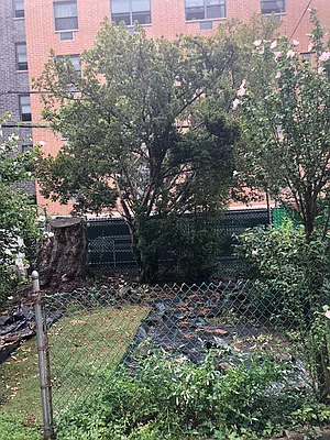 Rented by New Leaf Realty LLC | media 17