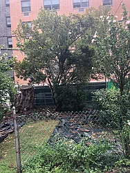 Rented by New Leaf Realty LLC