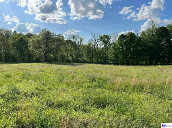 1 Gaddie Cemetery Rd, Bonnieville, KY 42713