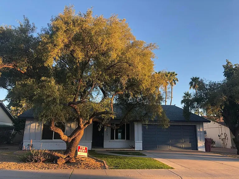 10699 E Mescal St — Photo 7