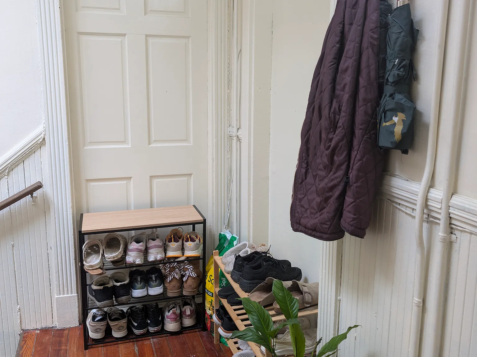 3 bed, 1150 sqft, $2,900 — Photo 3