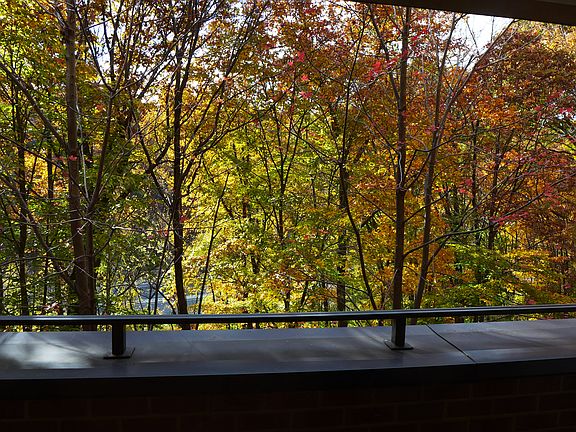 View from Master Bedroom