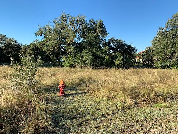 View from left property line