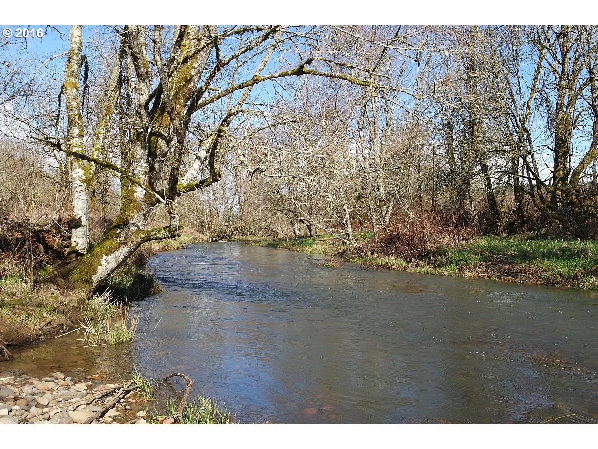 1666 Winlock Vader Rd photo 1