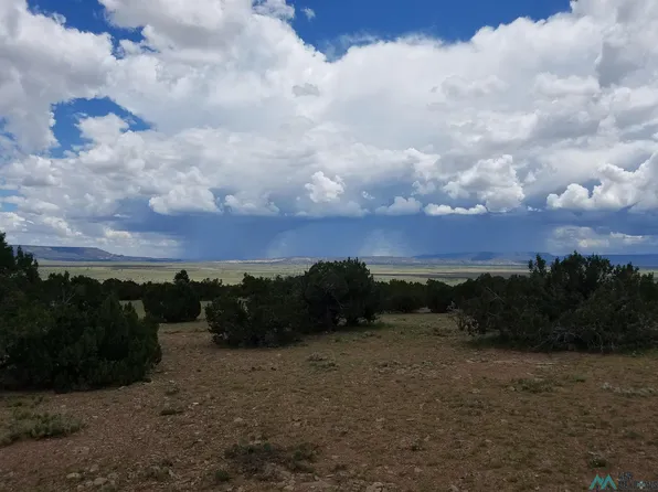 Camino De Silvestre, Grants, NM 87020