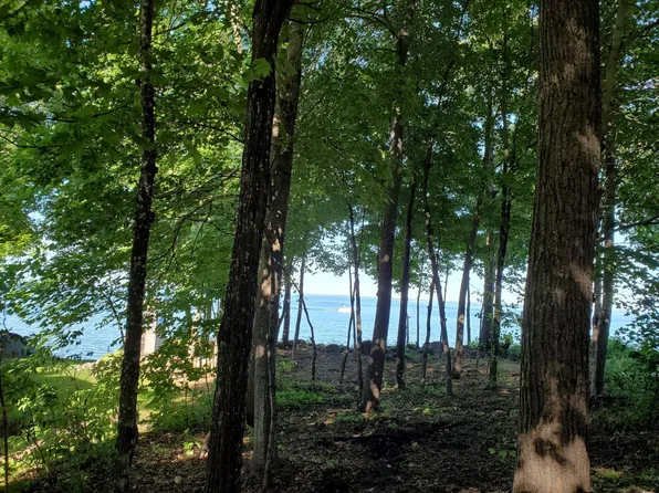 46766 Earle Brown Dr, Garrison, MN 56450