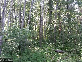 59.7 acres of Prime hunting