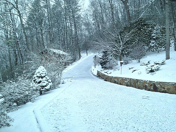 Winter scene from next door 