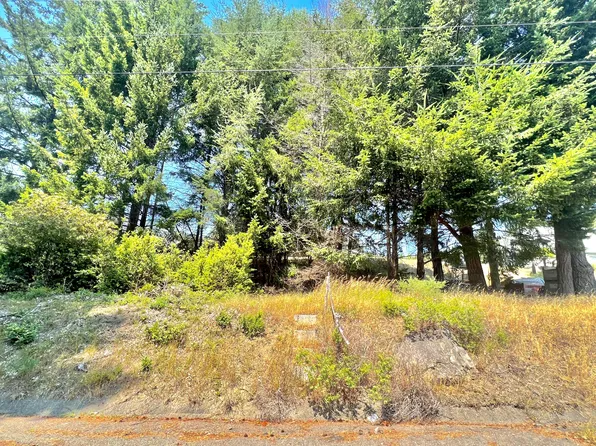 63 Spring Rd, Whitethorn, CA 95589