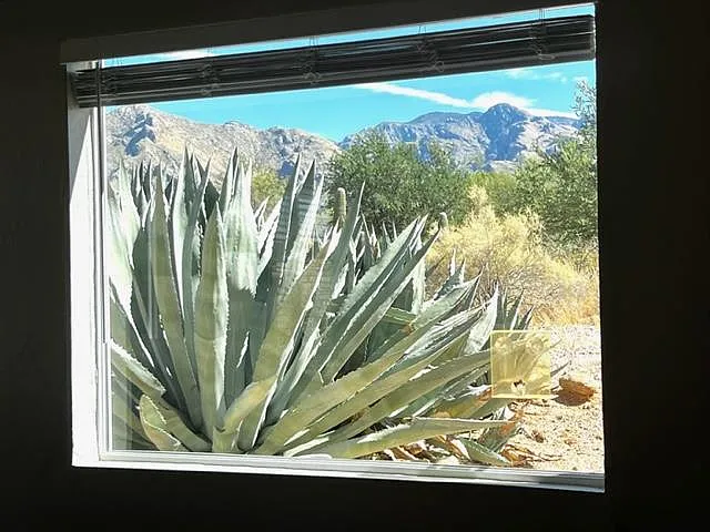 1410 W Cerrada Colima — Photo 13