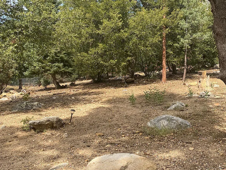 Back of the property from the patio.