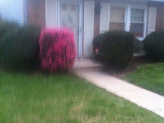 Old view from front (1)