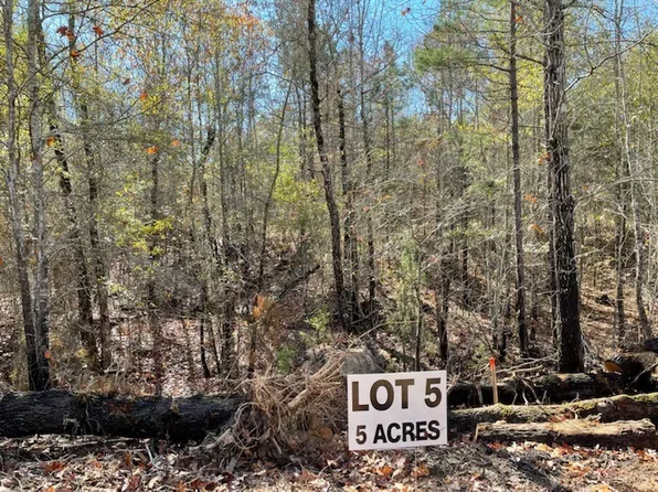 5 County Road 4609, Ben Wheeler, TX 75754